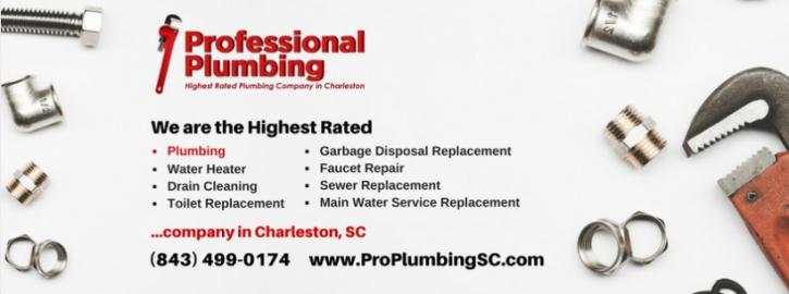 Image for Professional Plumbing with ID of: 2038809