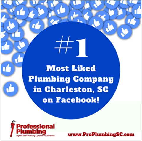 Image for Professional Plumbing with ID of: 2038810