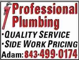 Image for Professional Plumbing with ID of: 2038812