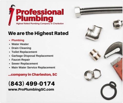Image for Professional Plumbing with ID of: 2038813