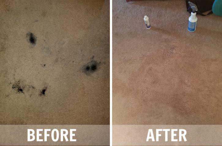 Image for Leather Upholstery Services Grosse Pointe with ID of: 2039197