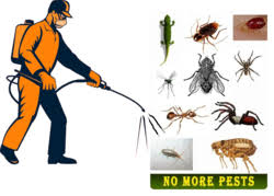 Image for Jordanson Insect & Pest Control Service with ID of: 2039364