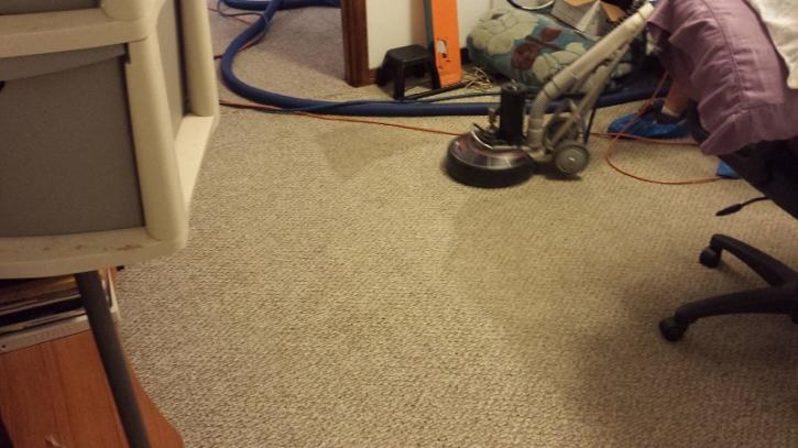 Image for Common Stain Removal Tips For Your Carpet with ID of: 2039791