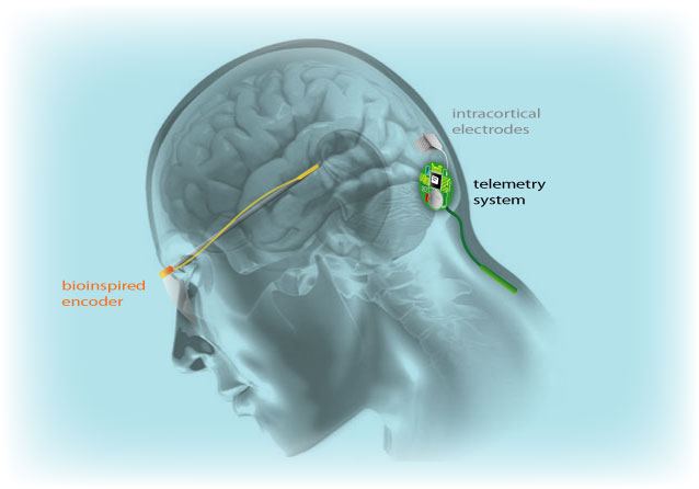 Image for Wireless Visual Cortical Stimulator Market - Trends, 2024 with ID of: 2040780