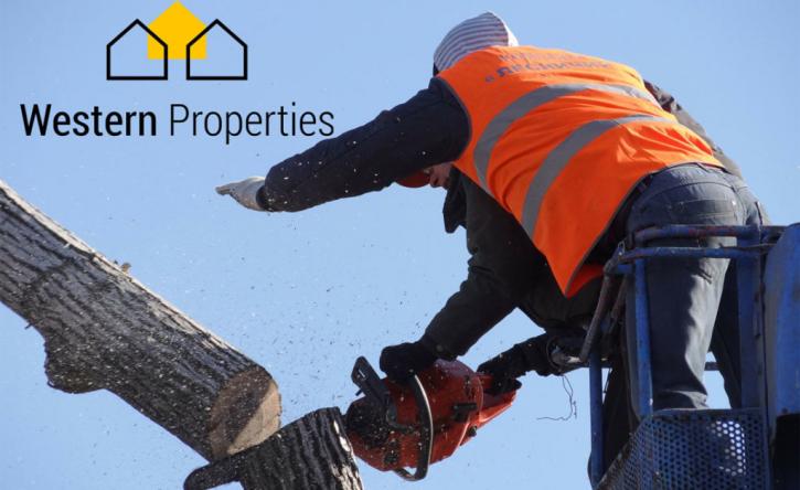 Image for Tree Cutting Services in Limerick with ID of: 2041836