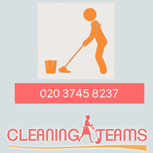 Image for Cleaning Teams with ID of: 2044307
