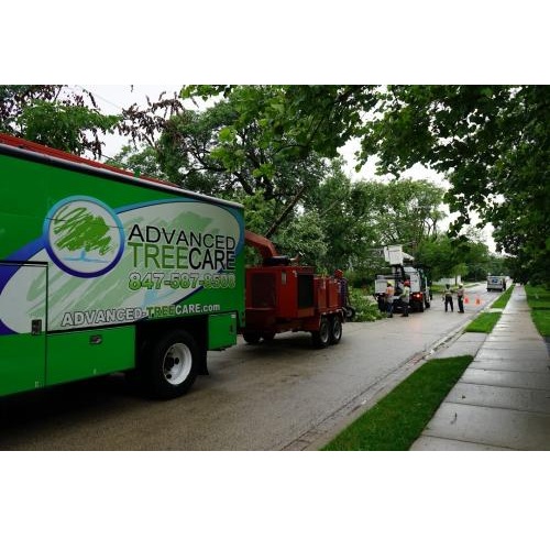Image for Advanced Tree Care with ID of: 2045719