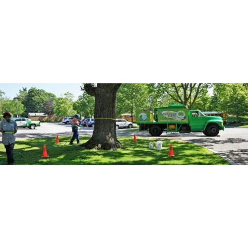 Image for Advanced Tree Care with ID of: 2045720