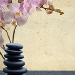 Image for A Touch Of Class Day Spa with ID of: 2045726