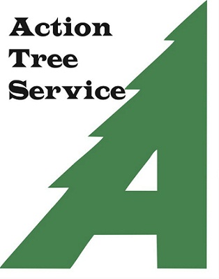Image for Action Tree Pros with ID of: 2047176