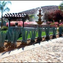 Image for El Agave Mexican Restaurant with ID of: 2047434