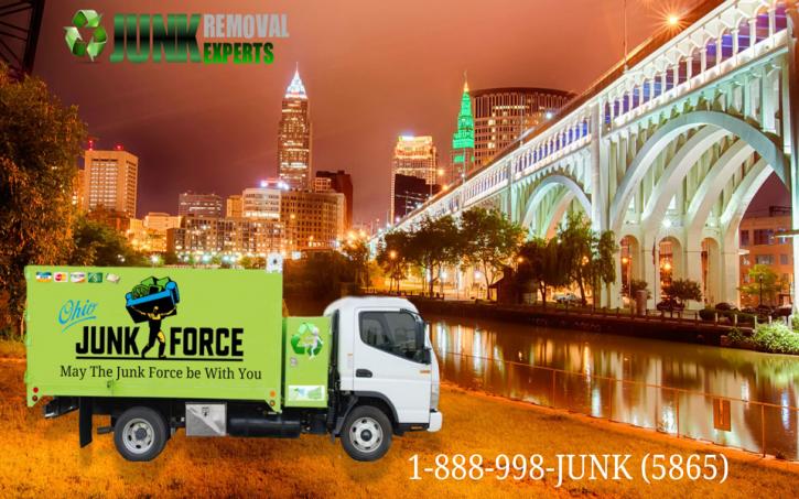 Image for Ohio Junk Force with ID of: 2047983