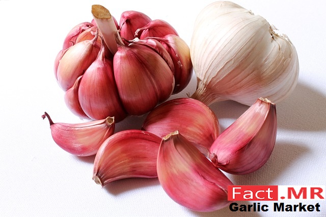 Image for 5 Key Takeaways from Fact.MR’s Report on Garlic Market for Forecast Period 2017 - 2022 with ID of: 2048869