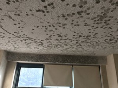 Image for Five Star Environmental with ID of: 2049350