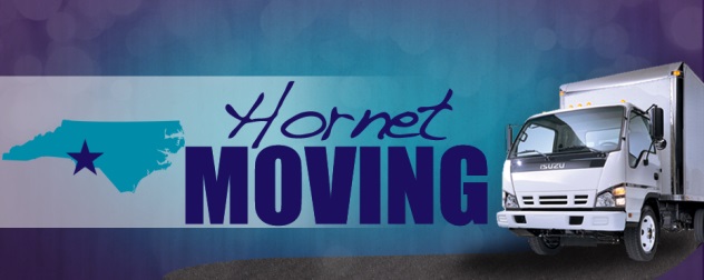 Image for Hornet Moving with ID of: 2049679