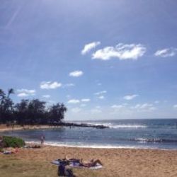 Image for Dynamic Tour Hawaii with ID of: 2049771