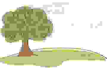 Image for Tree Services Atlanta with ID of: 2049846