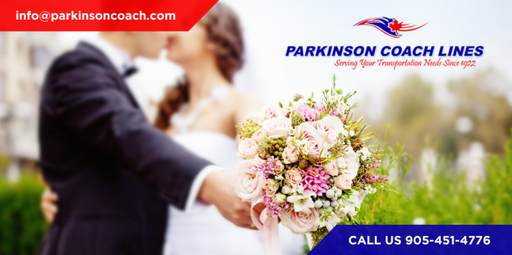 Image for Parkinson Coach Lines with ID of: 2050516