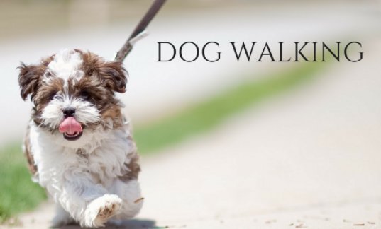 Image for Denver Dog Walking Service with ID of: 2052557
