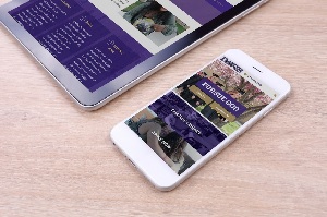 Image for FreshySites - Website Design with ID of: 2054500