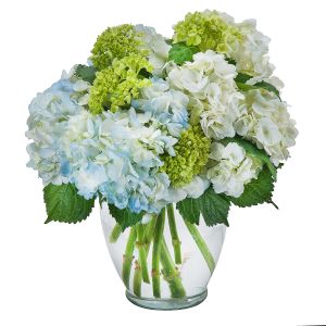 Image for Johnston's Quality Flowers Inc. with ID of: 2055162