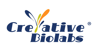 Image for recombinant antibody by Creative Biolabs with ID of: 2055313