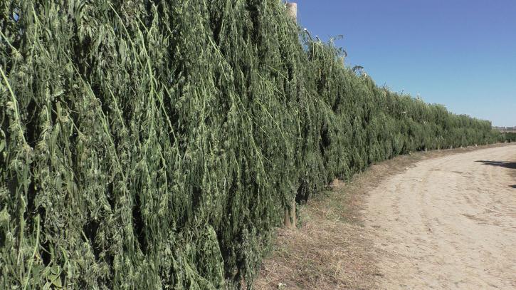 Image for Blue Forest Farms with ID of: 2055648