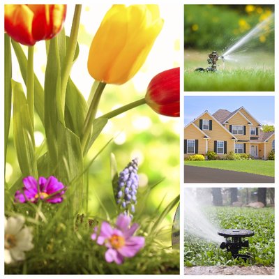 Image for Tranquil Landscape Creations with ID of: 2056125