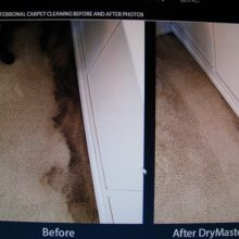 Image for Drymaster Carpet & Upholstery Cleaning with ID of: 2056985