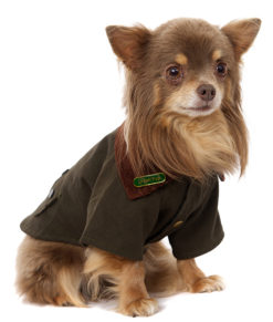 Image for dog clothing with ID of: 2057712