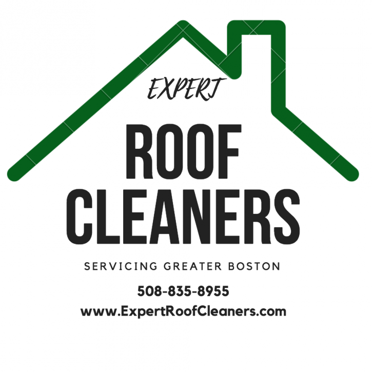 Image for Expert Roof Cleaners with ID of: 2058471