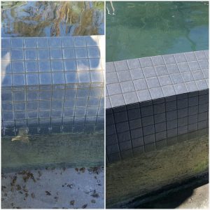 Image for Specialties Aquatic Tile Cleaning with ID of: 2058780