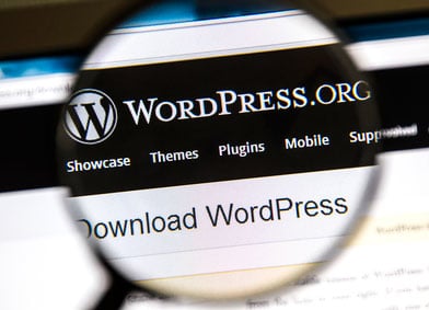 Image for Driven Web Services with ID of: 2059493