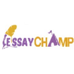 Image for Essay Champ with ID of: 2059815