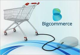 Image for Insights from a Bigcommerce Developer with ID of: 2060008