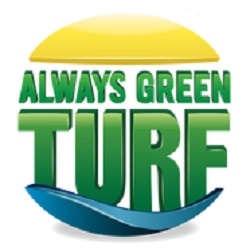 Image for Always Green Turf with ID of: 2060079