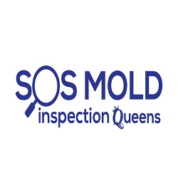 Image for SOS Mold inspection Queens with ID of: 2060163