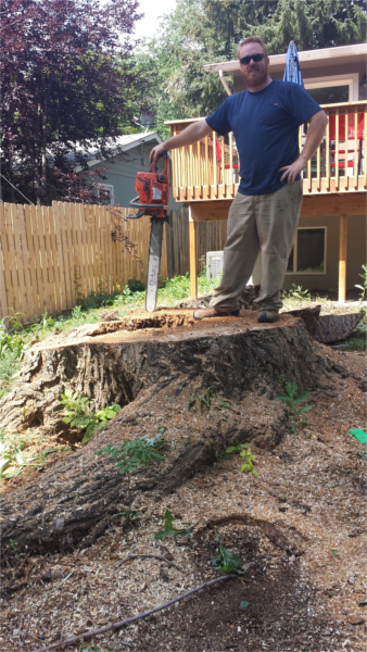 Image for Stump & Grind with ID of: 2061988