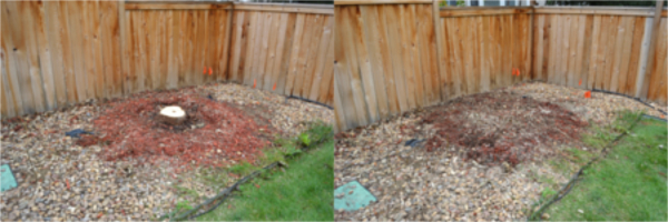 Image for Stump & Grind with ID of: 2061995
