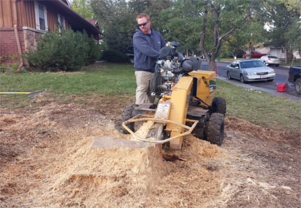Image for Stump & Grind with ID of: 2061997