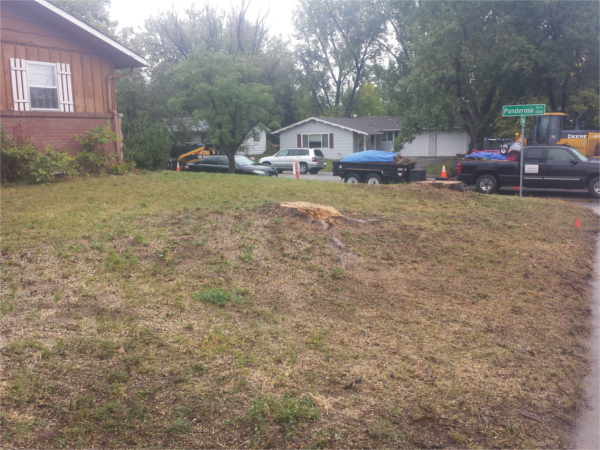 Image for Stump & Grind with ID of: 2062001