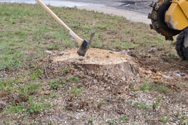Image for Stump & Grind with ID of: 2062002
