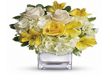 Image for Flowers Delivery Inc. with ID of: 2063252