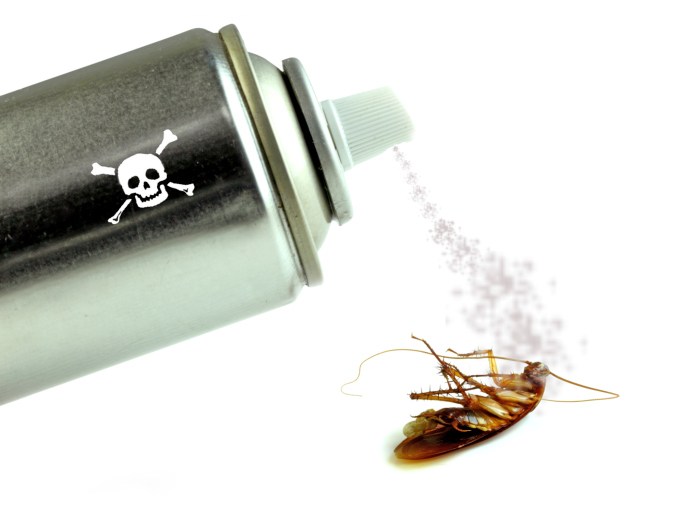 Image for Hills Pest Control with ID of: 2063479