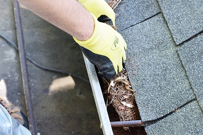 Image for Labor Panes Wilmington with ID of: 2068132