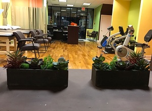 Image for Joint Health Physical Therapy with ID of: 2069710