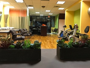 Image for Joint Health Physical Therapy with ID of: 2069719