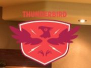 Image for Thunderbird Custom Design with ID of: 2073085