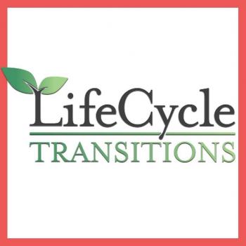 Image for LifeCycle Transitions with ID of: 2073980