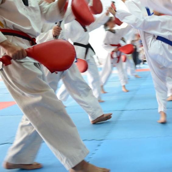 Image for Sky Martial Arts with ID of: 2074492